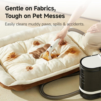 HomeGlim™ Nettoyeur de tapis et de meubles
